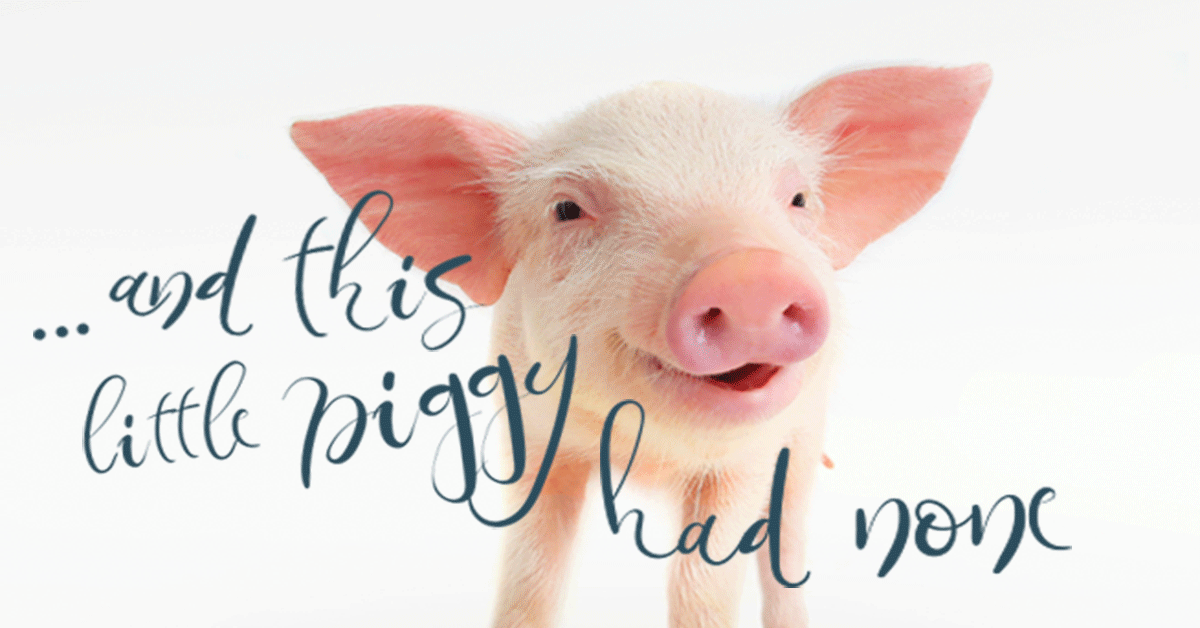 Give piglets the iron they need – without the heavy metals they don’t